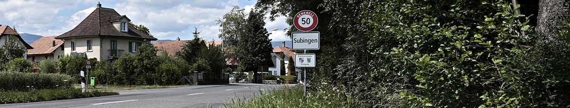 Panorama Subingen